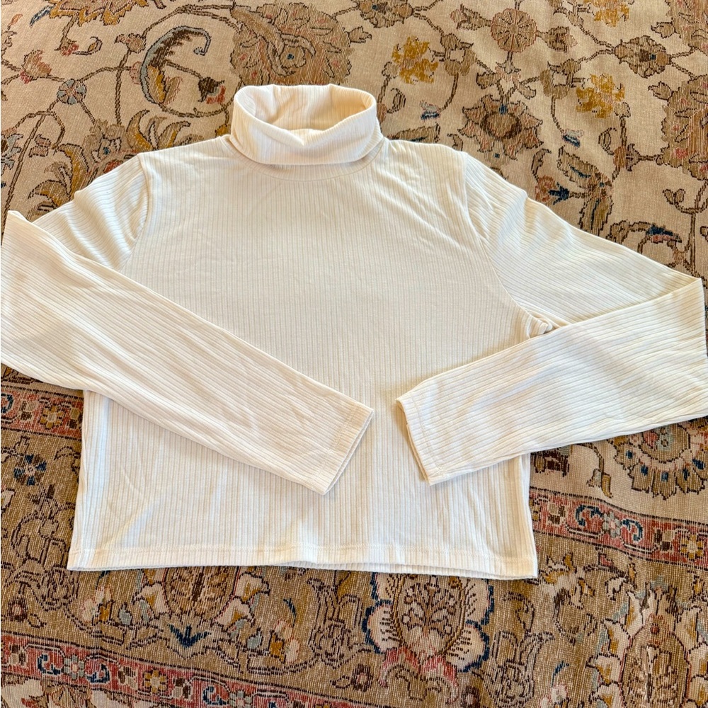 Madewell Cropped Ivory Ribbed Turtleneck